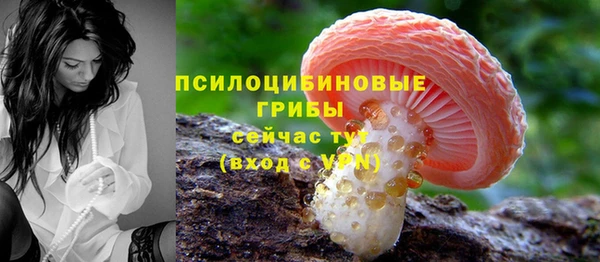 экстази Арсеньев