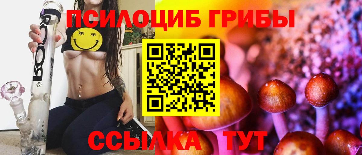 Галлюциногенные грибы Magic Shrooms Петропавловск-Камчатский