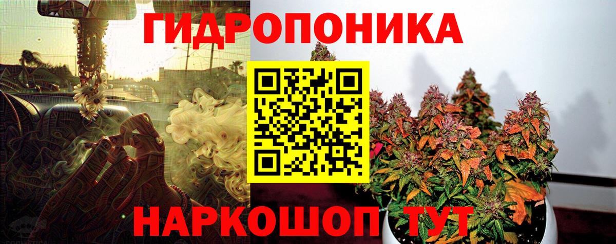 Бошки марихуана конопля Петропавловск-Камчатский